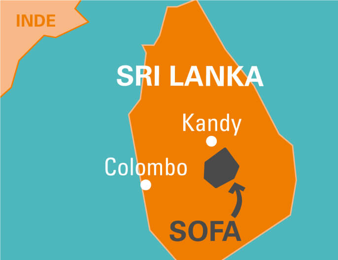 Carte coopÃ©rative SOFA au Sri Lanka cannelle en poudre